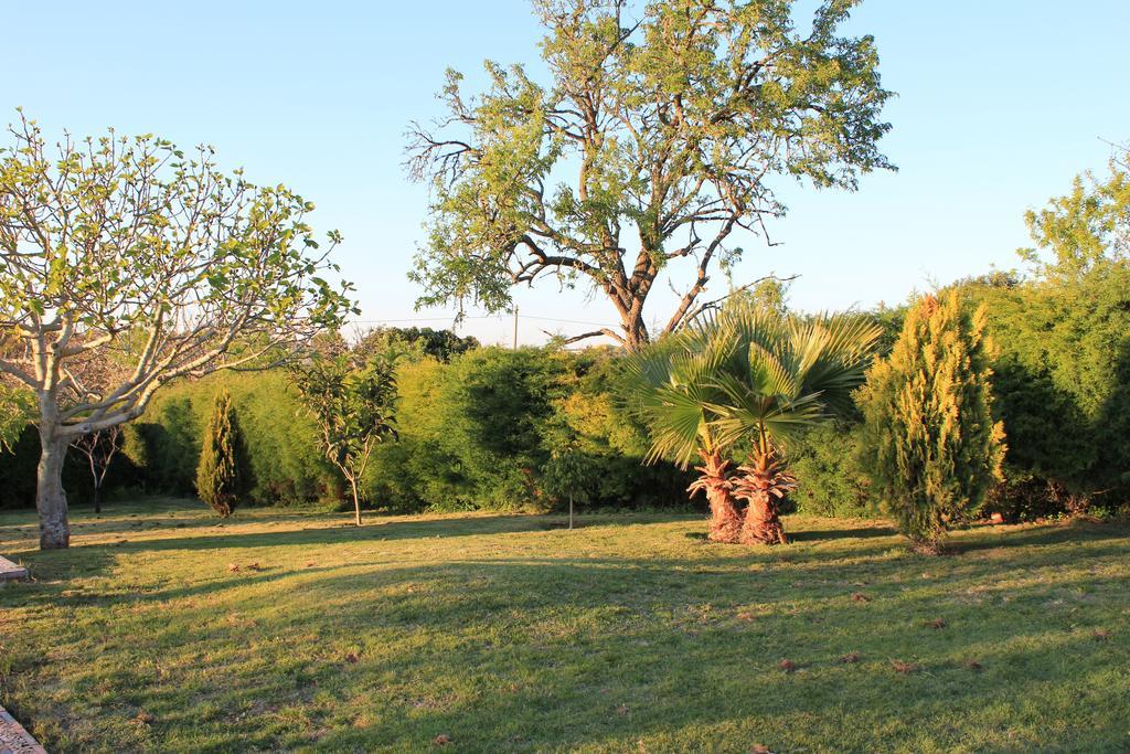 Horta Nova Villa Lagos Cameră foto
